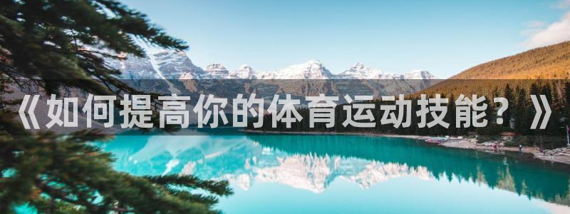 vsport体育官方正版app集团logo:《如何提高你的体