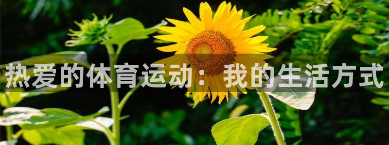 vsport体育官网下载招商电话是多少啊:热爱的体育运动:我