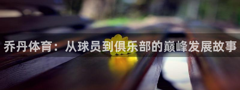 vsport体育官方平台体育:乔丹体育:从球员到俱乐部的巅峰